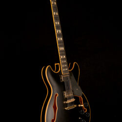 Ibanez JSM20