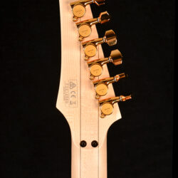 Ibanez PIA3761 SDG