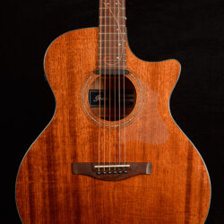 Ibanez AE295-LGS