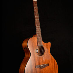 Ibanez AE295-LGS