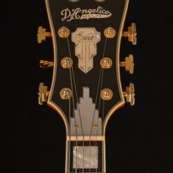 D`angelico EXL-59