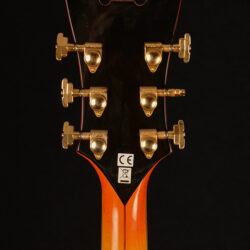 D`angelico EXL-59