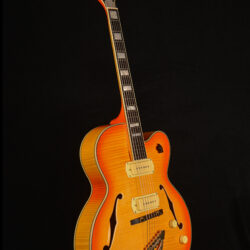 D`angelico EXL-59