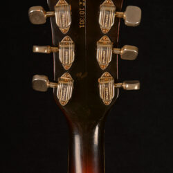 Gretsch Viking 1967