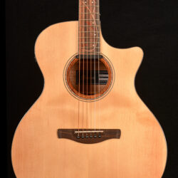 Ibanez AE325 LGS