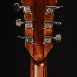 Ibanez AE325 LGS