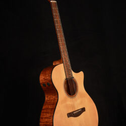 Ibanez AE325 LGS