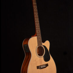 Blueridge BR-63CE
