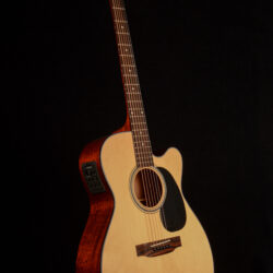 Blueridge BR-43CE