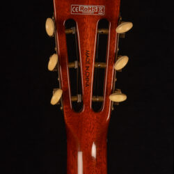 B&G Little Sister Classic Cutaway