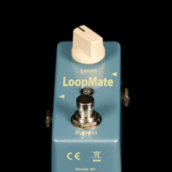 Carl Martin LoopMate