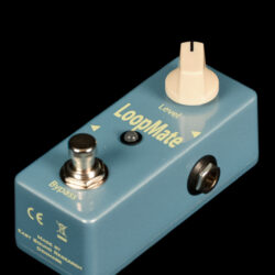 Carl Martin LoopMate