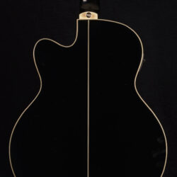 Ibanez AEB8E-BK Acoustic Bass
