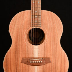 Cole Clark LL MINI LL2E-BLBL