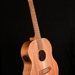 Cole Clark LL MINI LL2E-BLBL