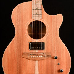 Cole Clark AN2EC-BLBL-HUM