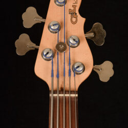 G&L L-2500 5-string Fretless Bass
