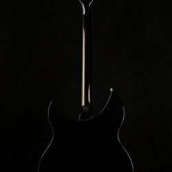 Rickenbacker 330 JetGlo 2018