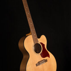 Gibson J-185