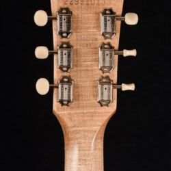 Gibson Les Paul Special Tribute
