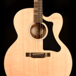 Gibson G-200 EC
