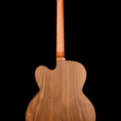 Gibson G-200 EC