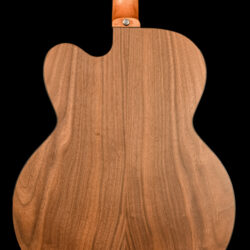 Gibson G-200 EC