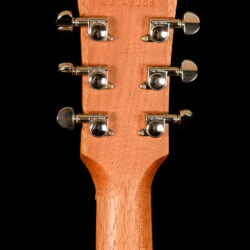 Gibson G-200 EC