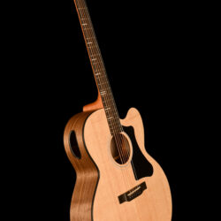 Gibson G-200 EC