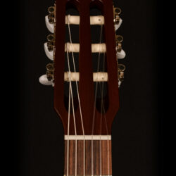 Godin Multiac Nylon Encore