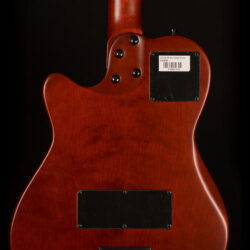 Godin Multiac Nylon Encore