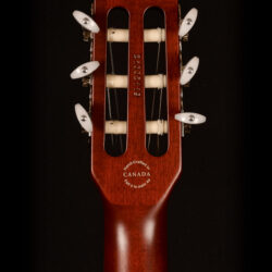 Godin Multiac Nylon Encore
