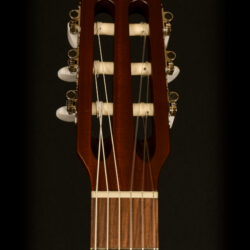 Godin Multiac Nylon Encore