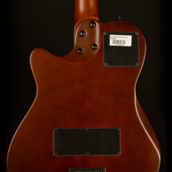 Godin Multiac Nylon Encore