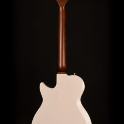Godin Radiator