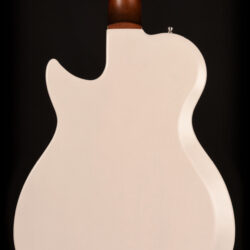 Godin Radiator