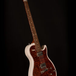 Godin Radiator