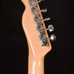 Fender Telecaster Thinline