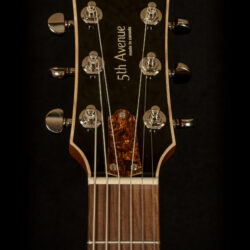 Godin 5th Avenue CW Kingpin II HB