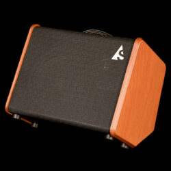 Godin ASG-8 Acoustic Amplifier