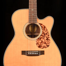 Blueridge BR-163C
