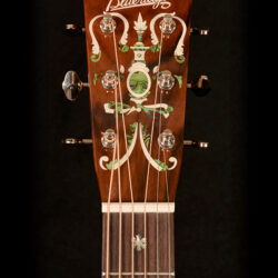 Blueridge BR-163C