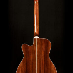 Blueridge BR-163C