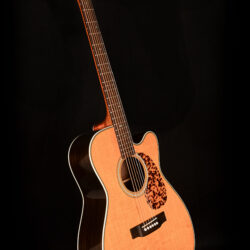 Blueridge BR-163C