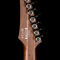 Ibanez RGD71ALPA-CKF
