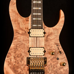 Ibanez RGT1220PB-ABS