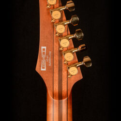 Ibanez RGT1220PB-ABS