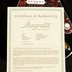Magneto Sonnet