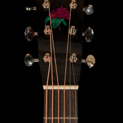 Collings D2H Acoustic