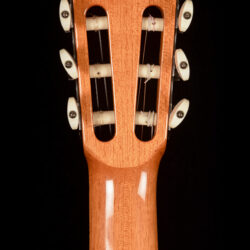 Esteve Manuel Adalid Hauser